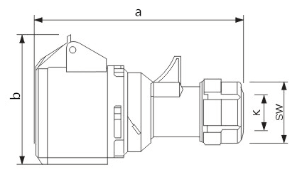 213N.png